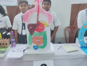 IMG20251106113737
